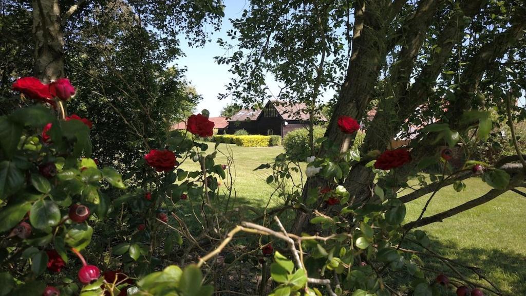 Paddock Barn ~ Short & Long Term Stay, Pets Welcome ~ Woodbridge, Framlingham Ar Cretingham Bagian luar foto